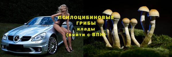 хмурый Дмитровск