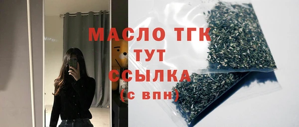 хмурый Дмитровск
