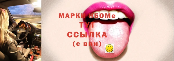 твердый Елабуга