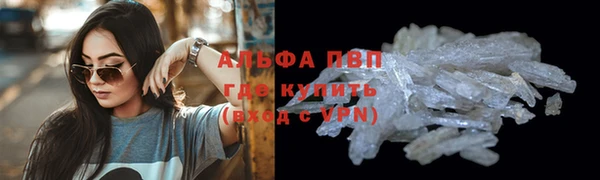 хмурый Дмитровск