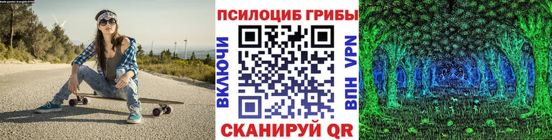 Купить закладки  Щёкино  Галлюциногенные грибы ЛСД 